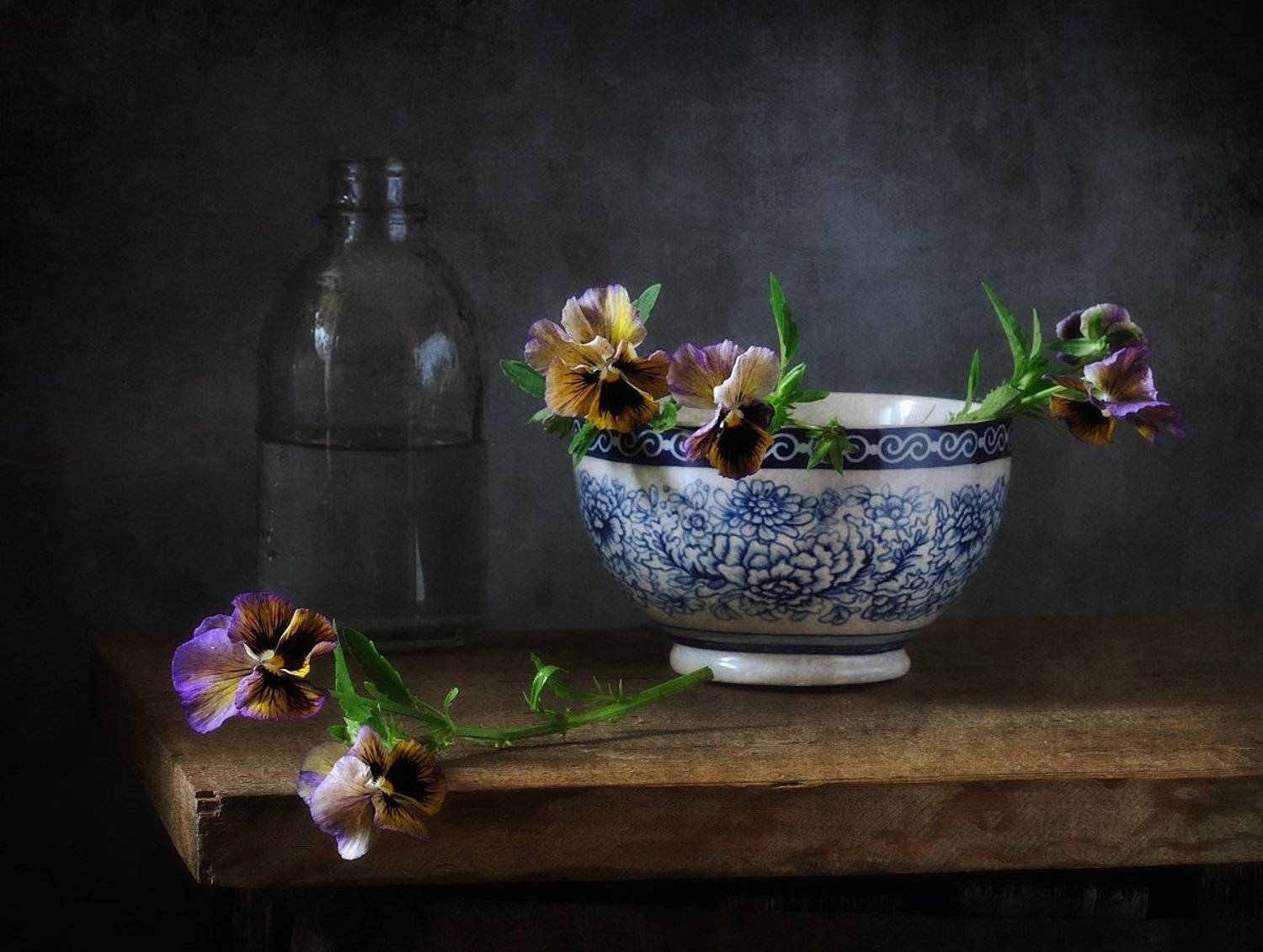 натюрморт,цветы,анютки, Наталия