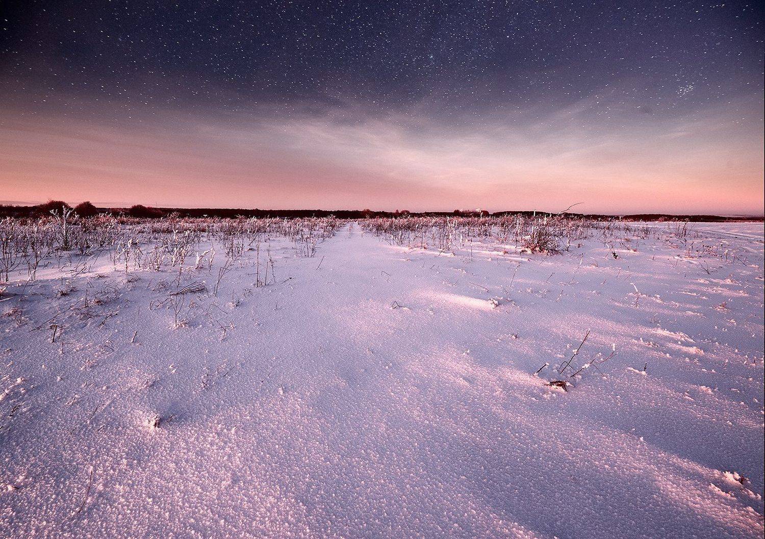 , Каревский Дмитрий