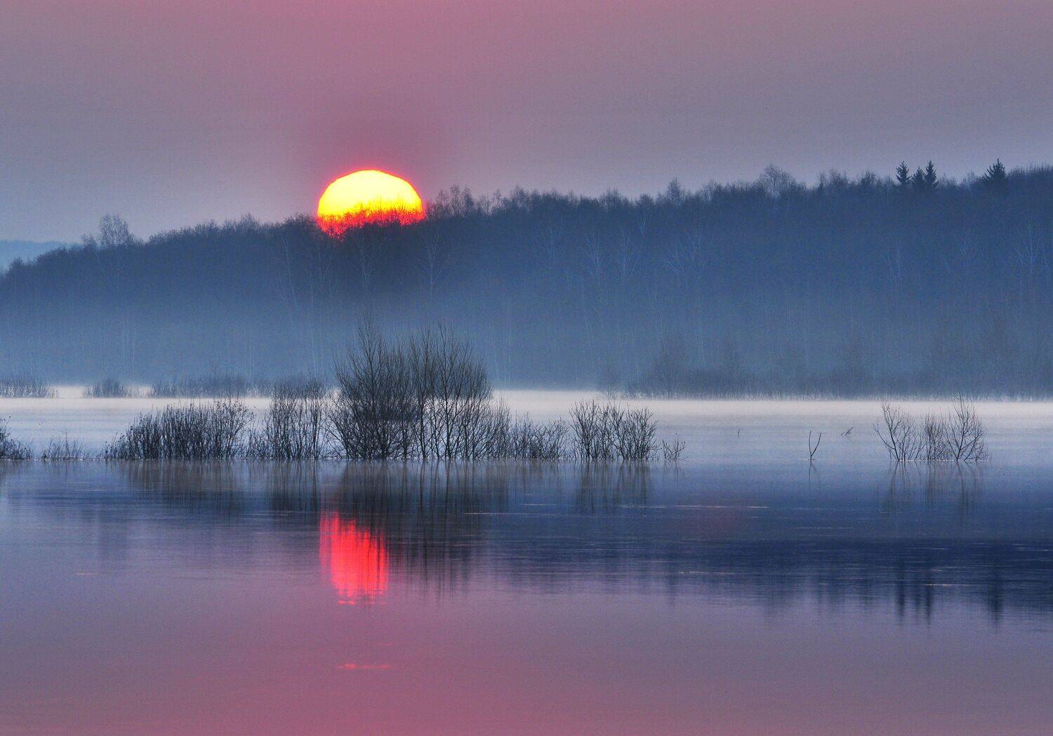 , Макеев Алексей