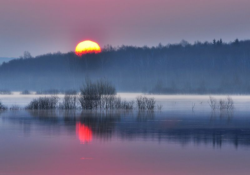 ... фото превью