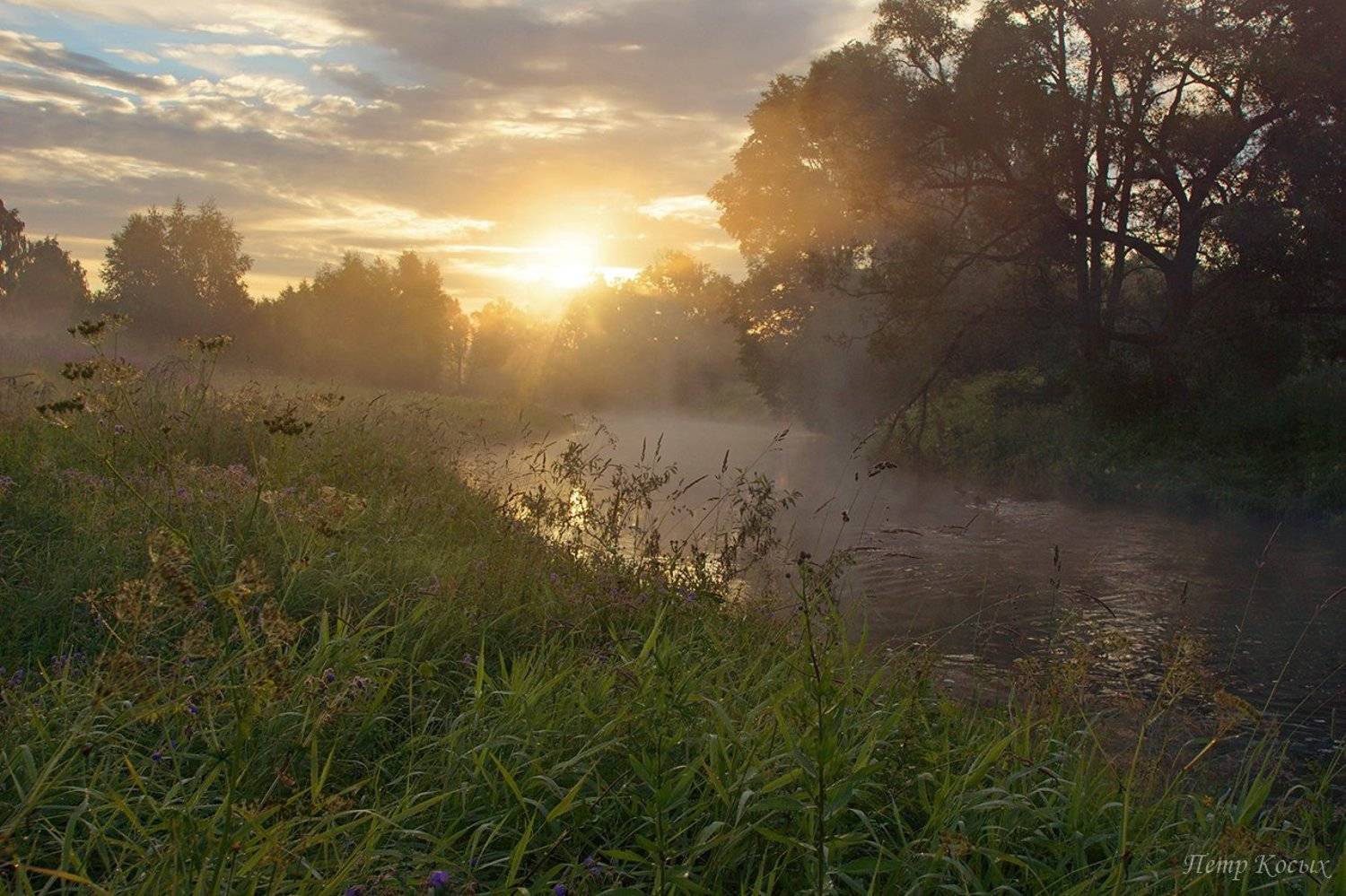 истра, московская, область, Петр Косых