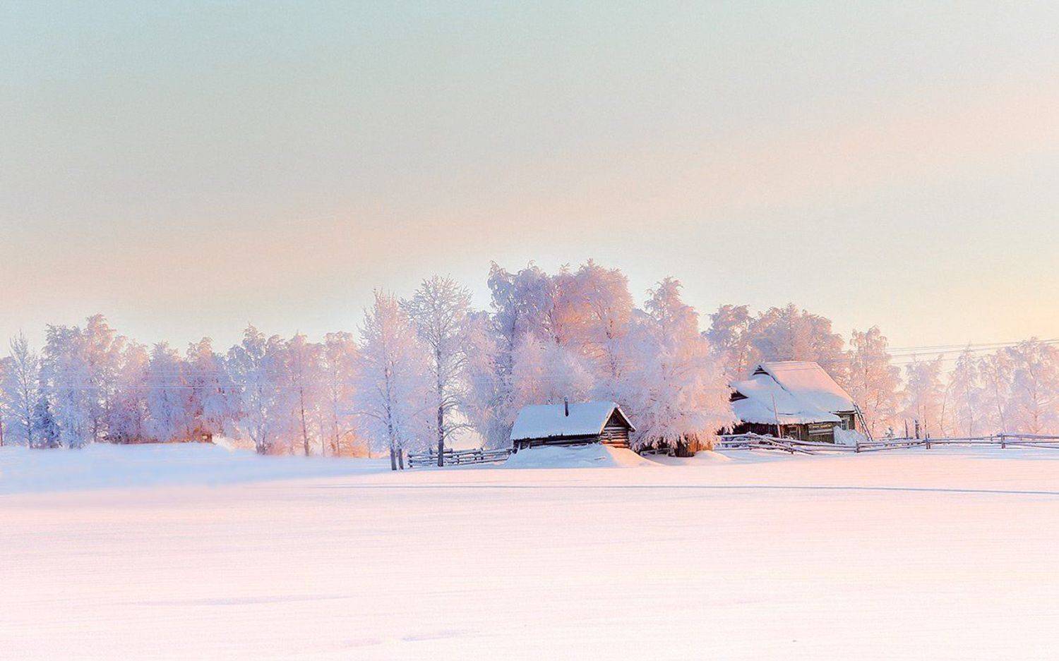 север,природа,лес,зима,деревня,глубинка,краски,печора,коми,красота́ ,снег,north,nature,forest,winter,paint,pechora,komi republic,beauty ,snow, Игорь Триер