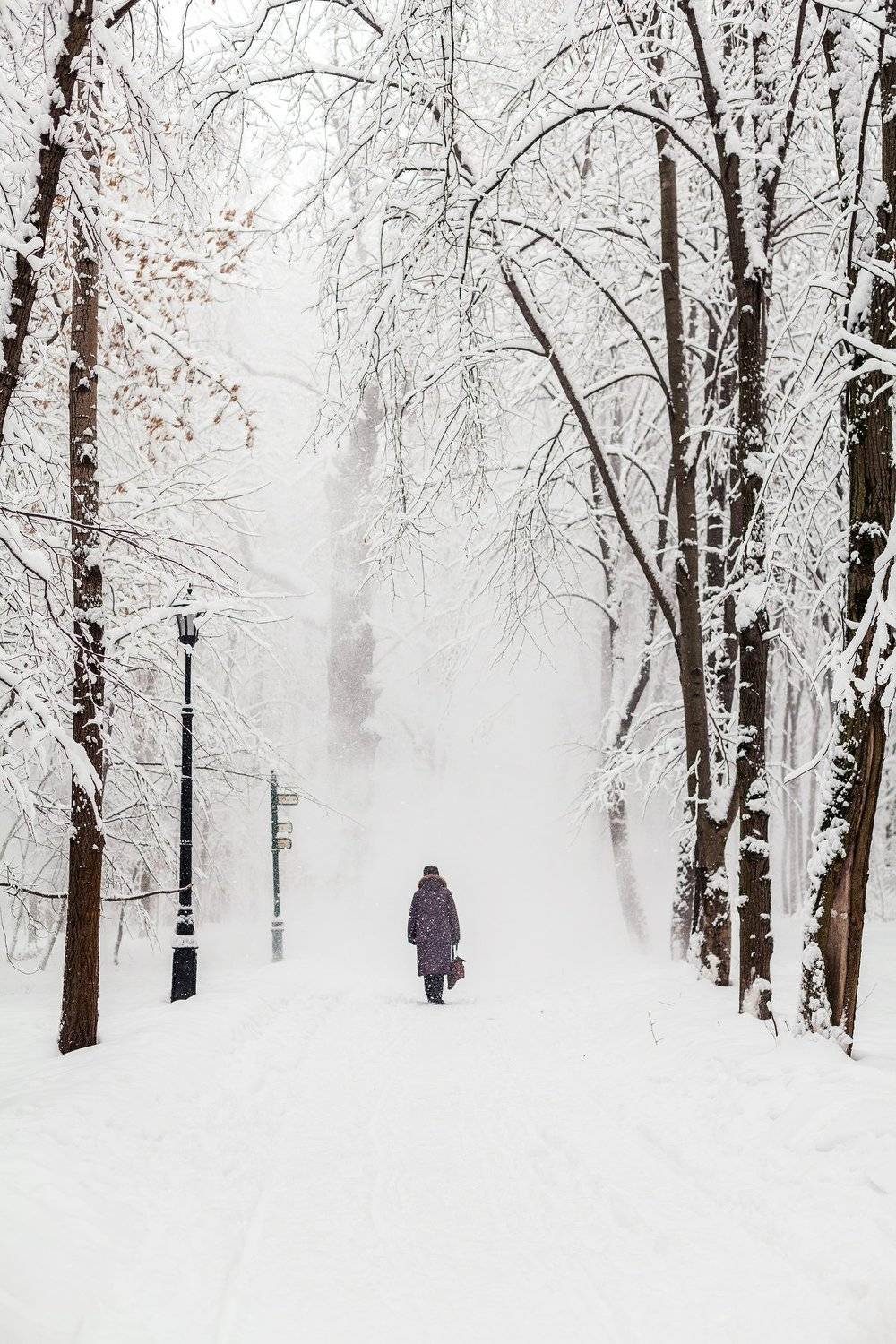 , Дара Пилюгина