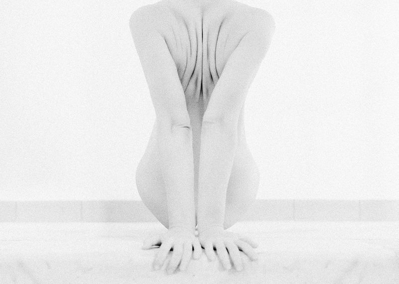BodyAndLines фото превью