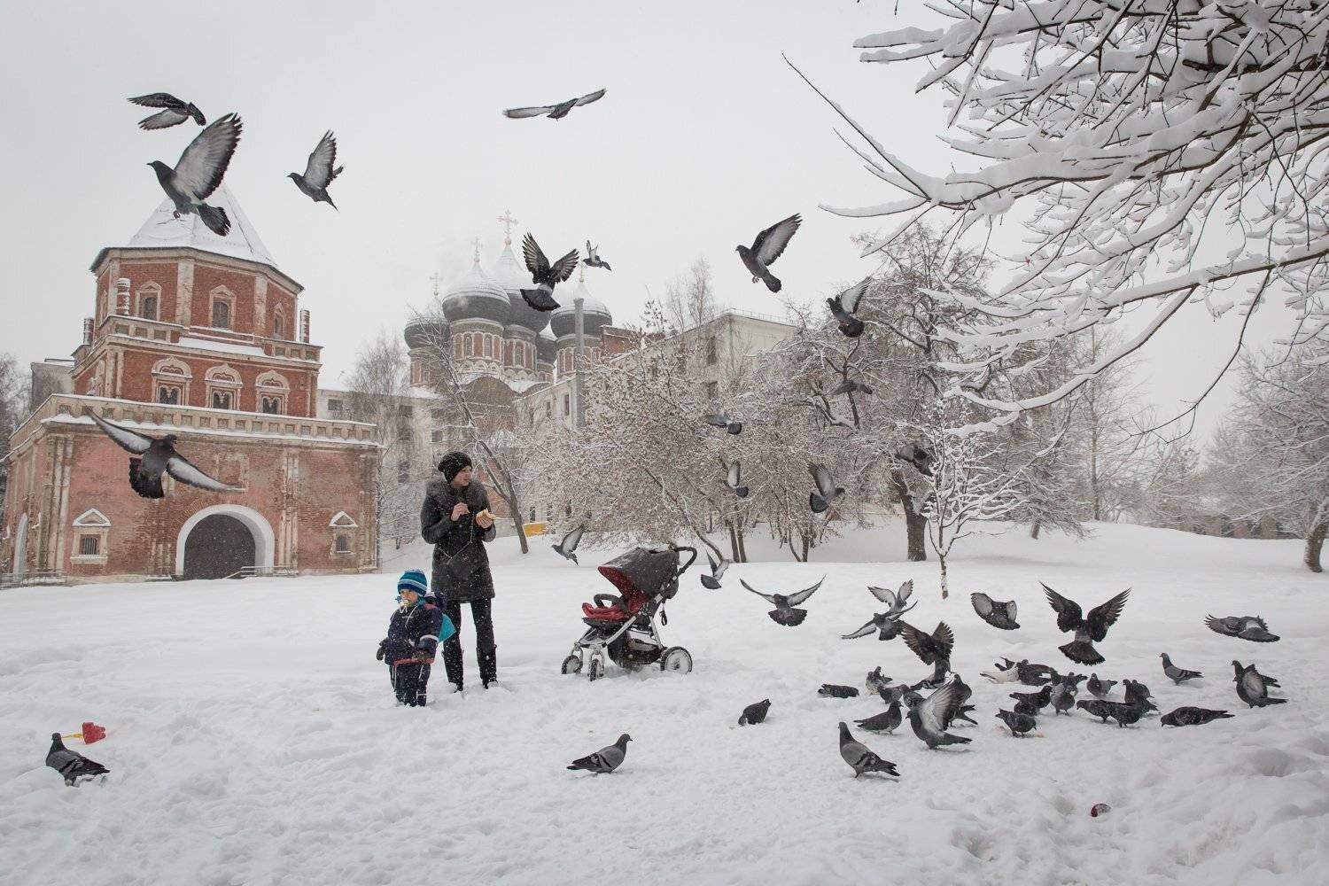 измайловский остров , голуби, ребенок,зима, храм, Ирина Назарова