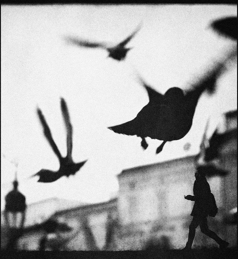 , Krzysztof Trojanowski