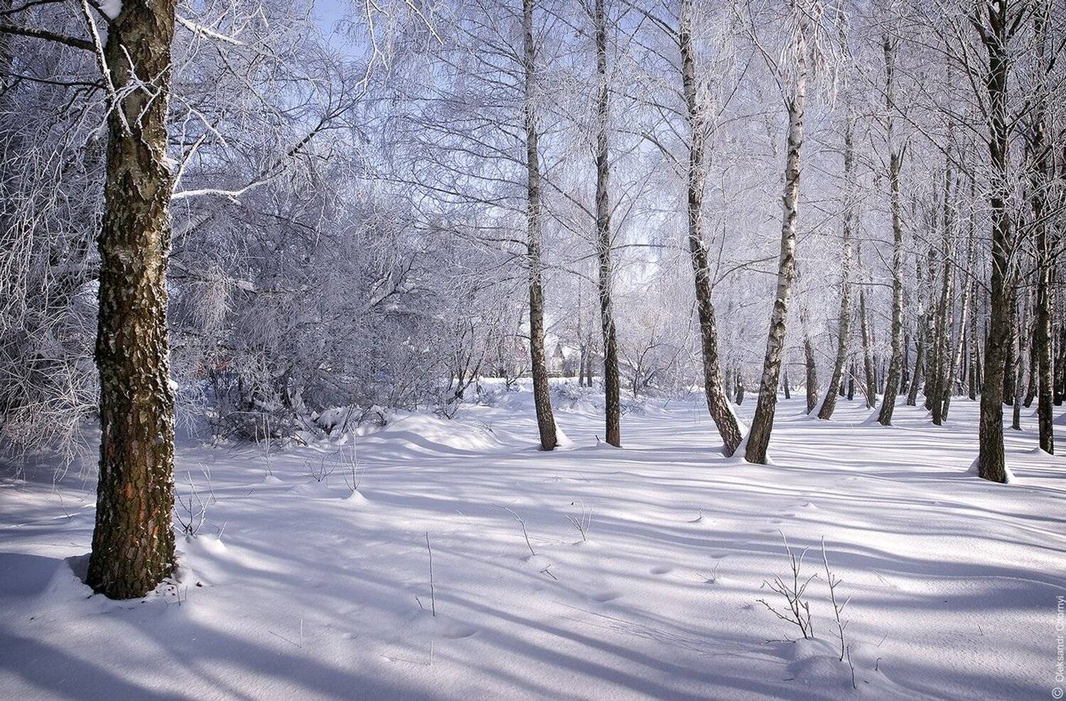 , Александр Чорный