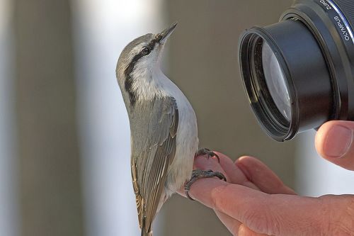 Я готов,снимайте! ;-))