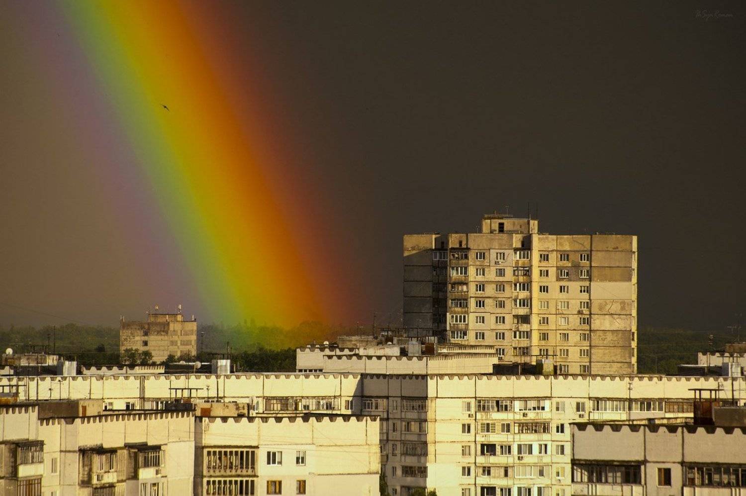радуга,птица, Roma  Chitinskiy