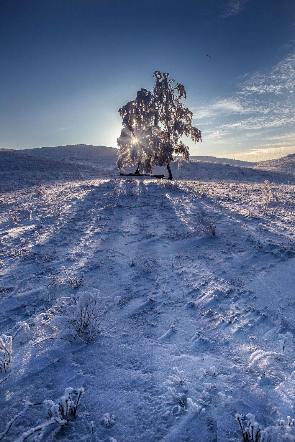 орск оренбургская обл. качурин новотроицк южный урал, Качурин Алексей