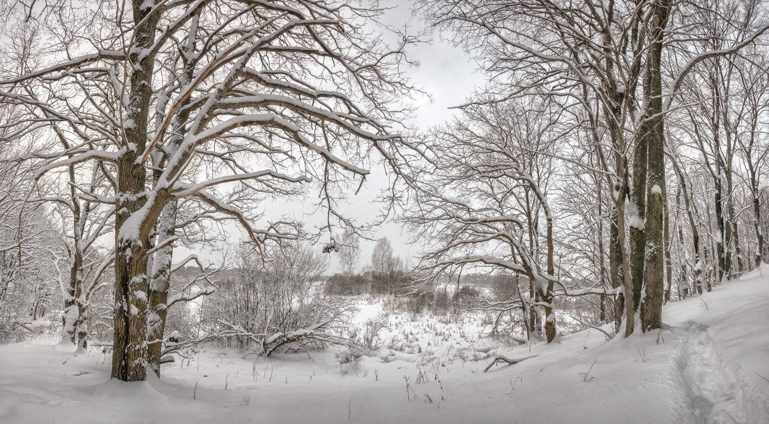 , Николай Андреев