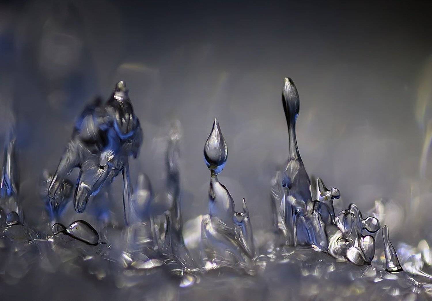 лед, Валерия Зверева