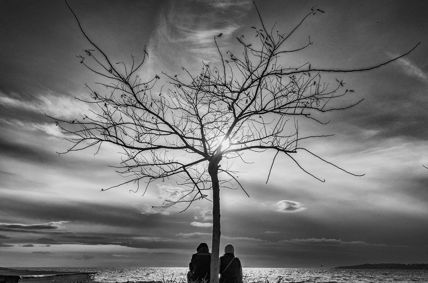 , Mutluhan Karakoyunlu