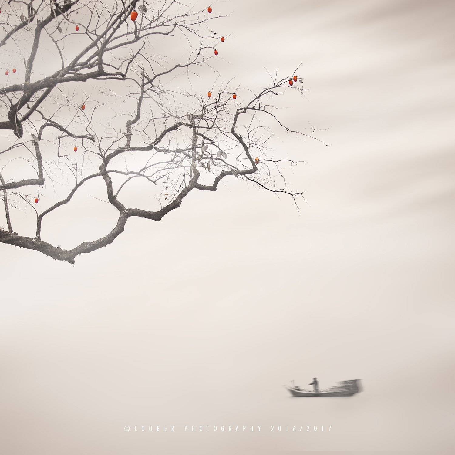 风光,旅行,温州,慢门,极简, 木易雷