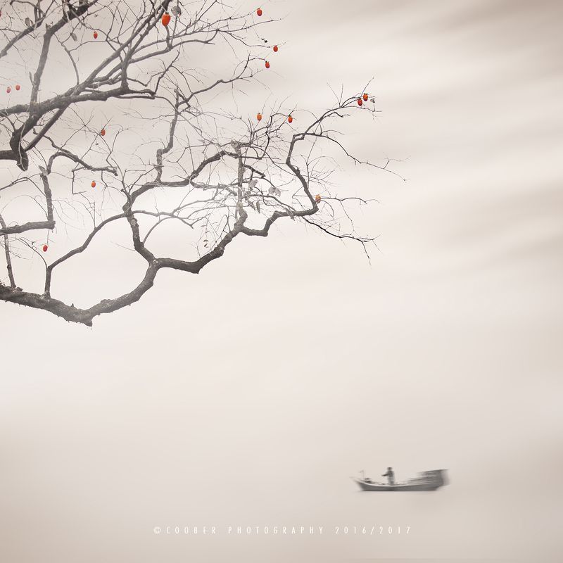 风光,旅行,温州,慢门,极简 柿子红了 фото превью