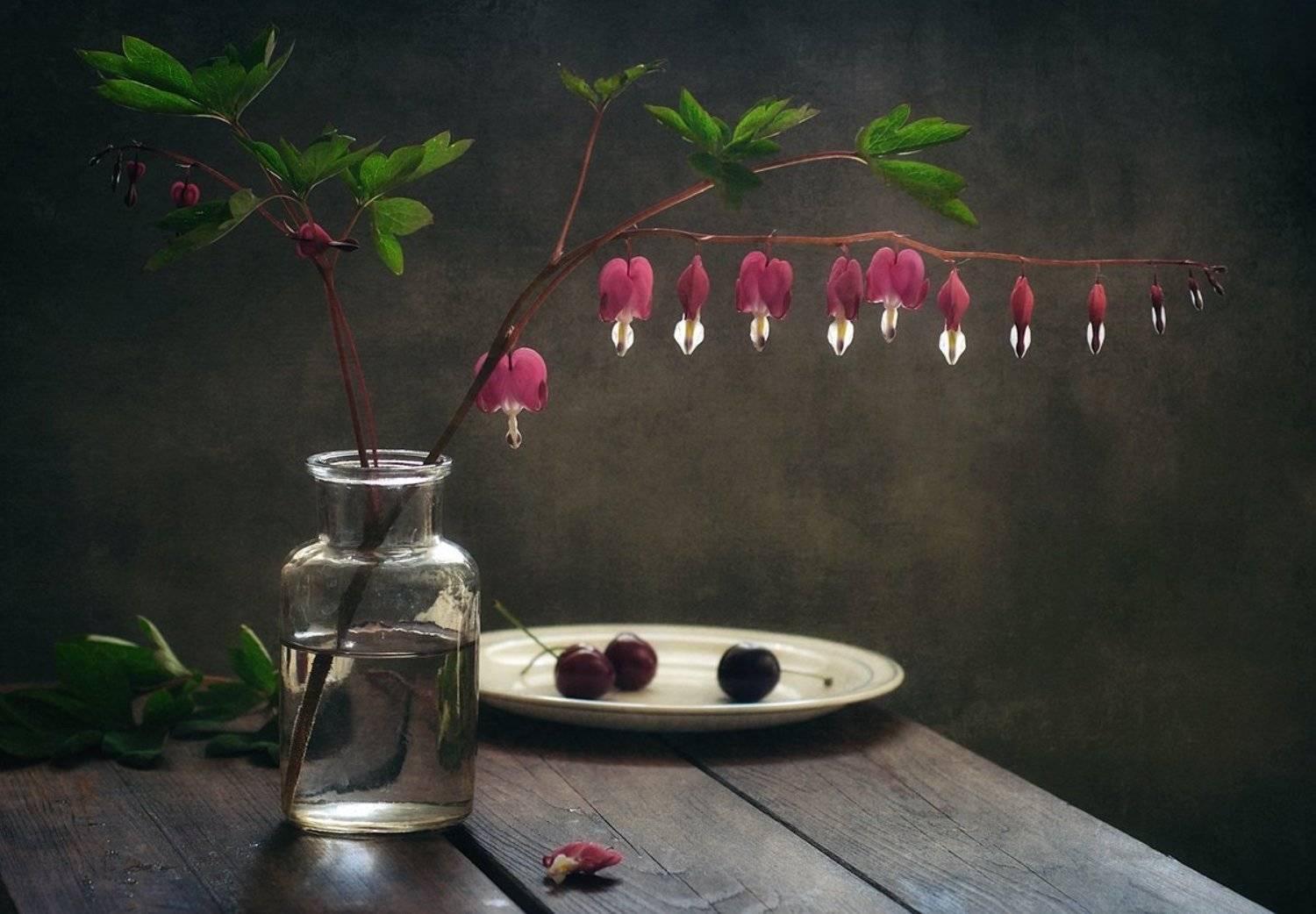 натюрморт,цветы,дицентра, Наталия