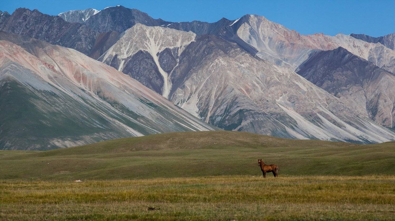 , Бахтин Вячеслав