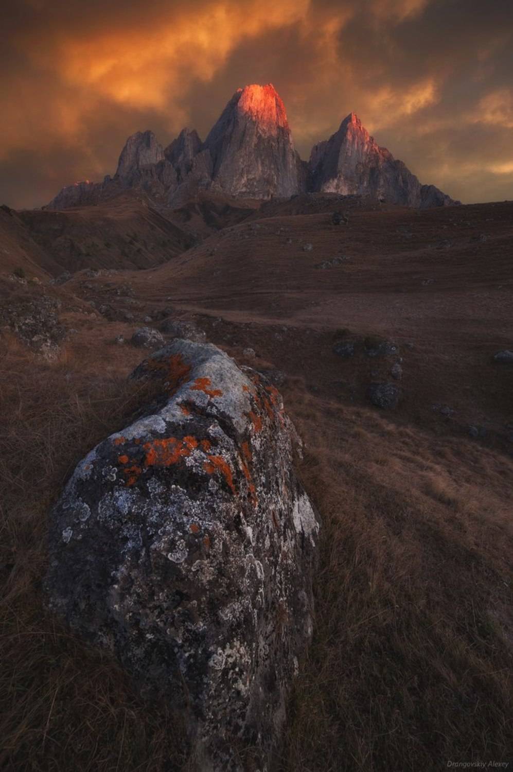 , Алексей Дранговский