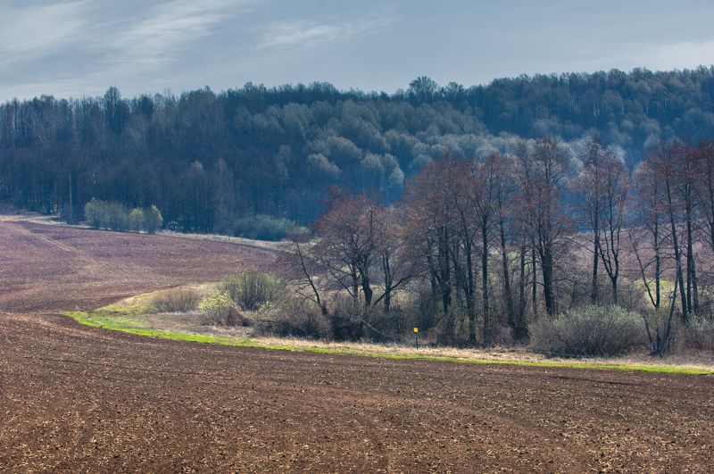 Весна идет! Весне дорогу! фото превью