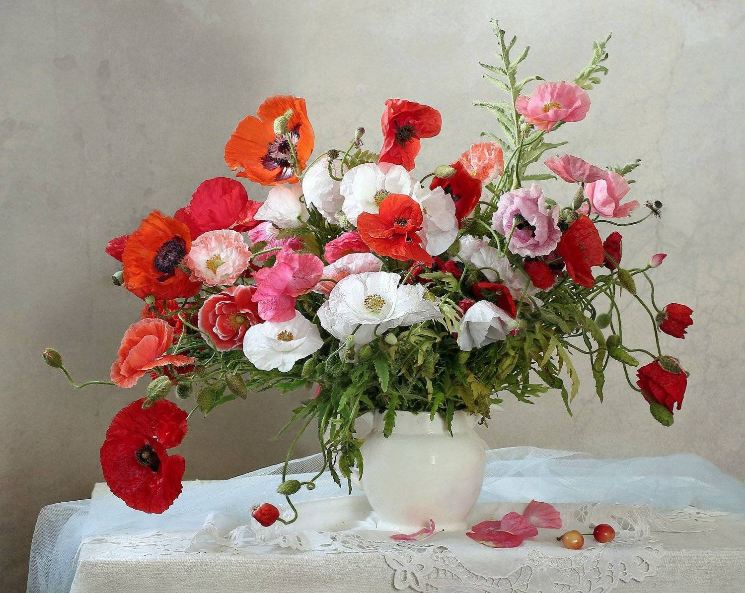 маки, букет маков, натюрморт, нежность, марина филатова, Марина Филатова