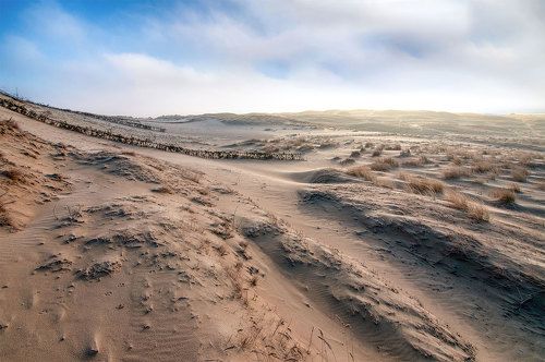 White dunes in Nida