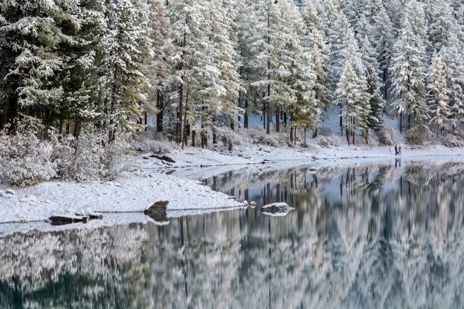 , Алексей Кретов