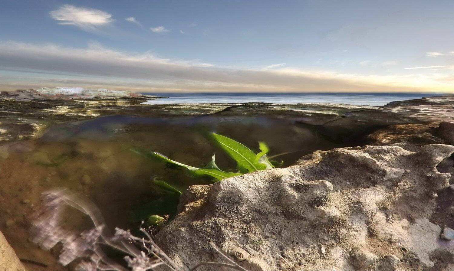 одесса, Сергей Кошелев