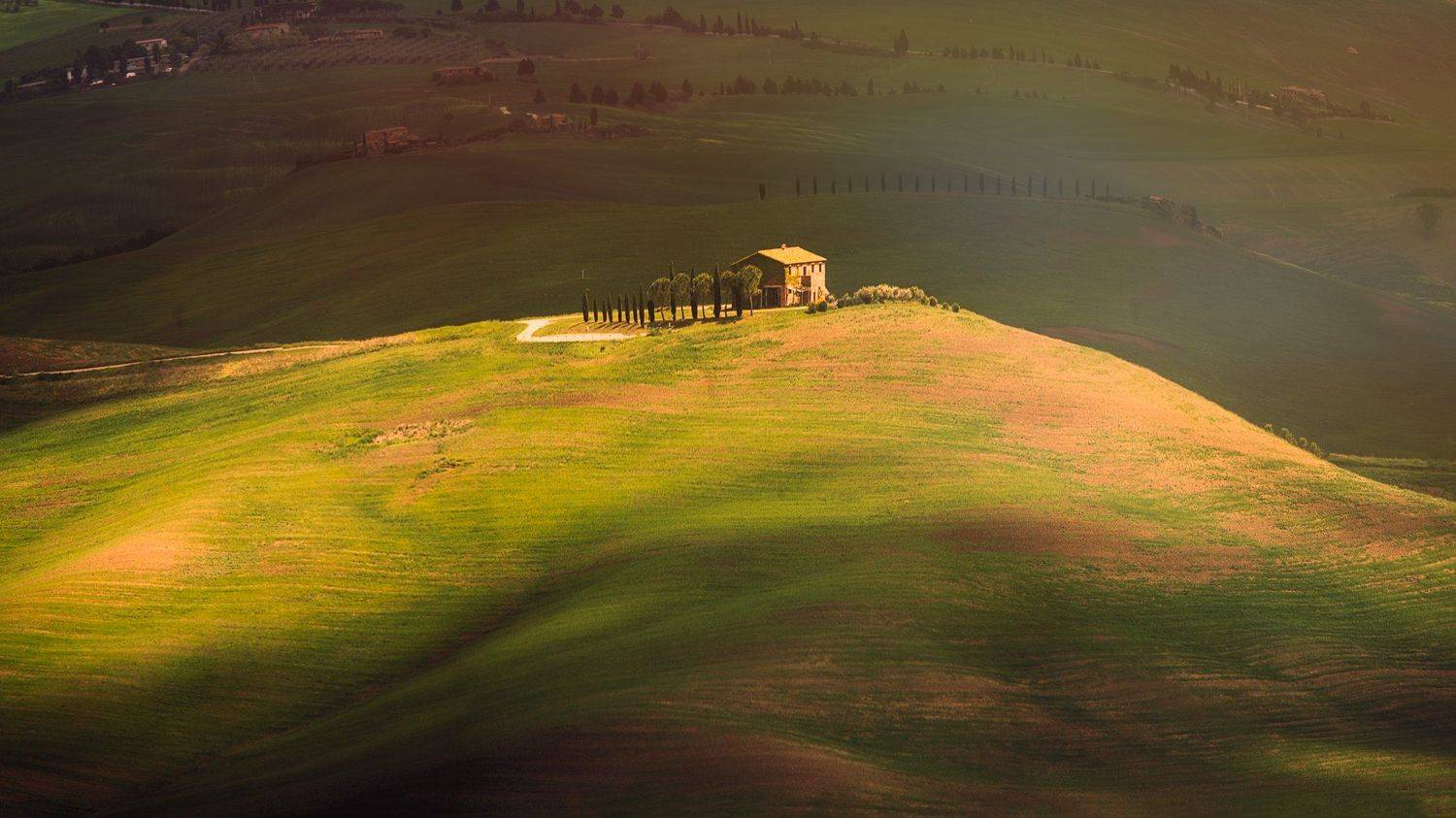 , Тодор Танев