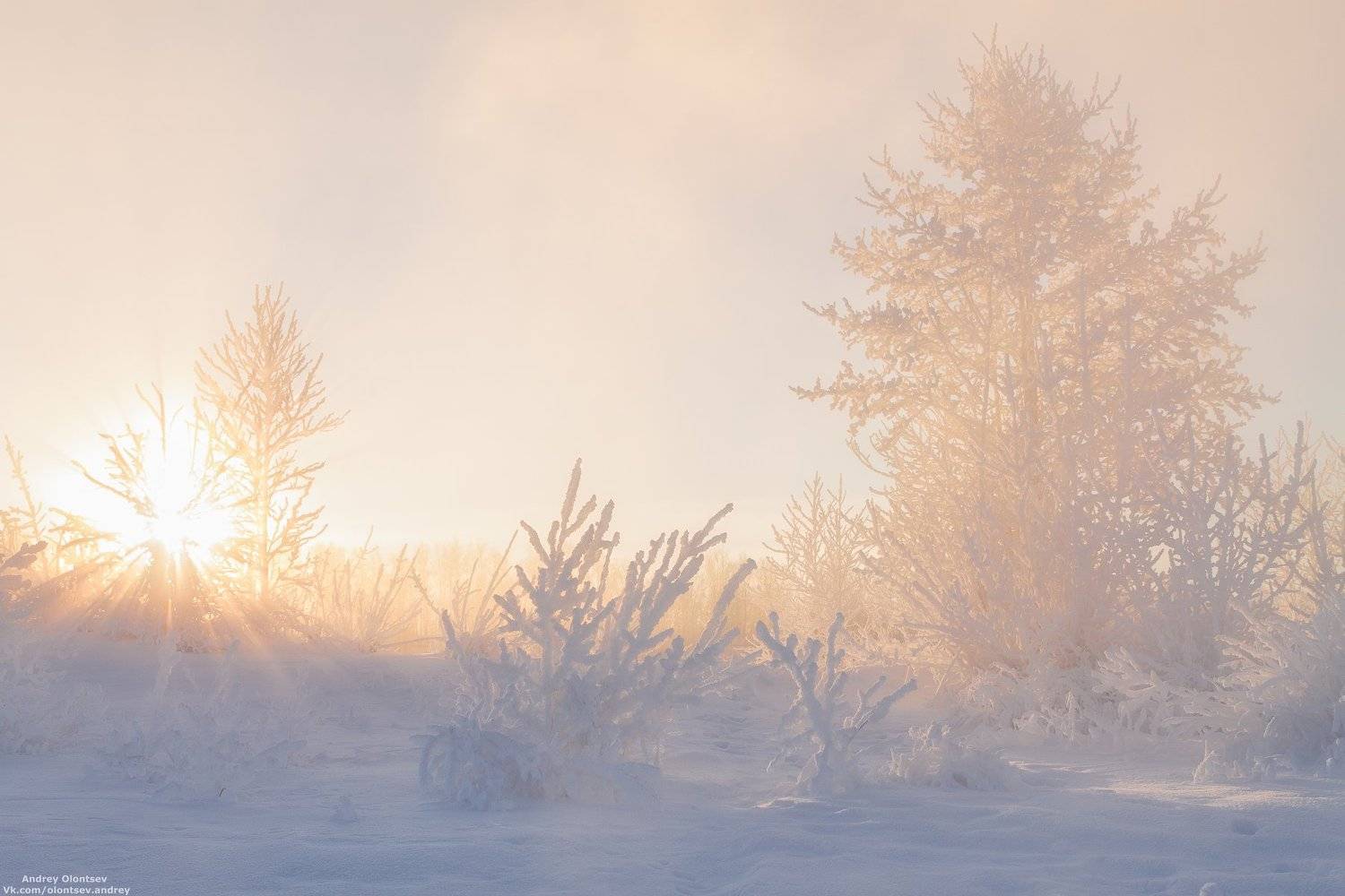 дубна, наукоград, подмосковье, россия, пейзаж, пейзажи, вода, солнце, отражение, рассвет, красота, природа, весна, погода, canon dubna, naukograd, moscow, russia, landscape, water, sun, reflection, dawn, beauty, nature, spring, weather, Андрей Олонцев