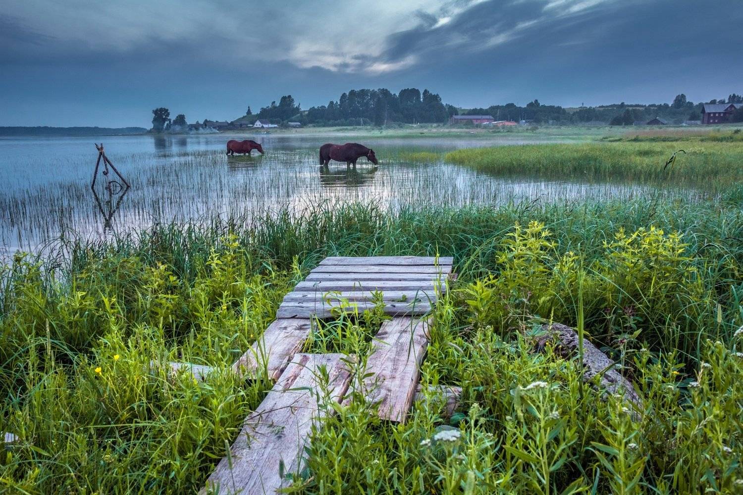 Кенозерье, Кенозеро, Русский Север, Алексей Мараховец