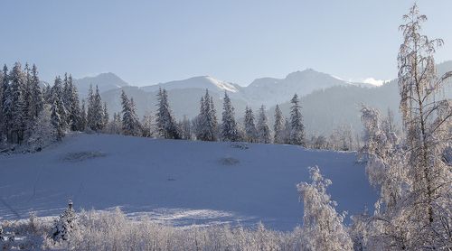 Татры