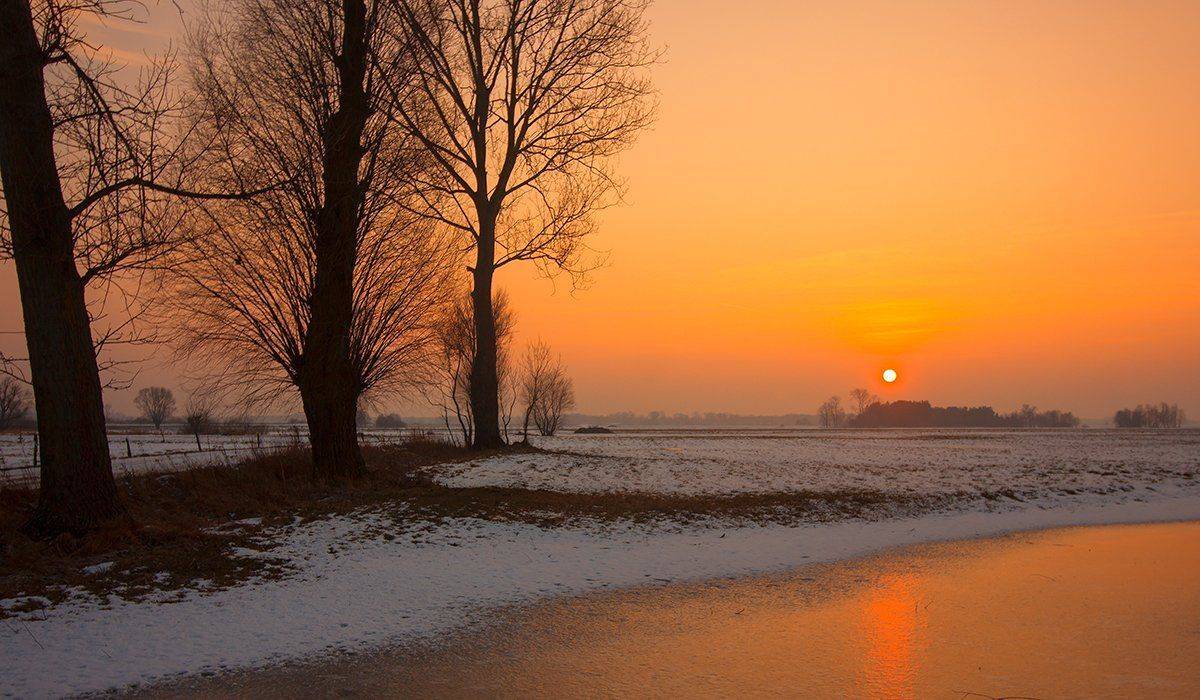 , Pawel Plucinski