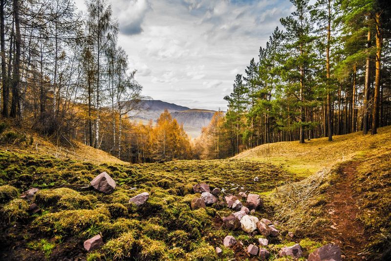 горы, осень, природа, пейзаж, лес, деревья Осень фото превью