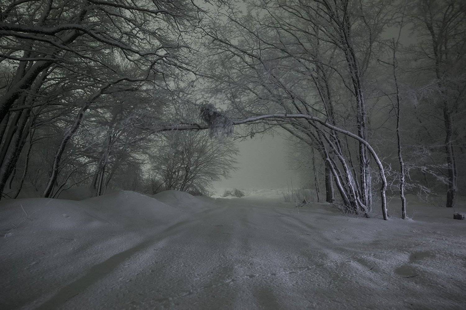 , Роман Колесников