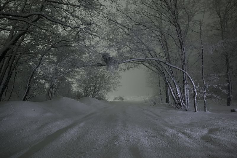 Крымская зима фото превью