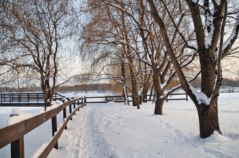 *** фото превью