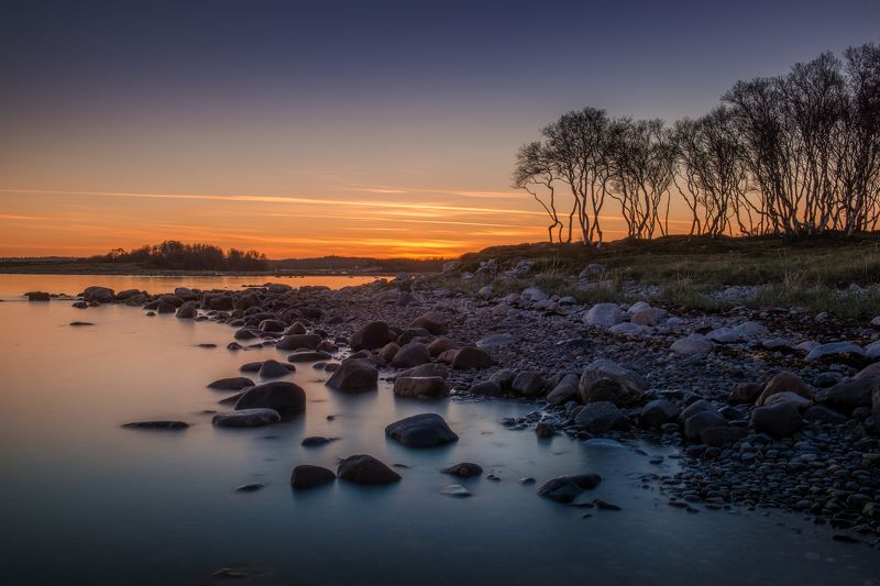 Соловки Белые ночи на Соловках  фото превью