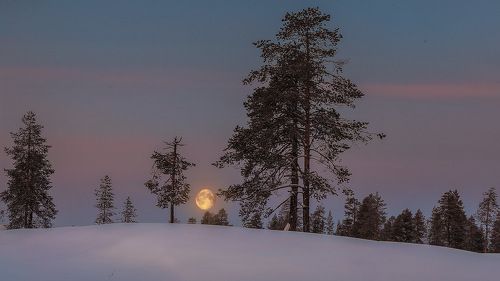 Предрассветная,уходящая луна