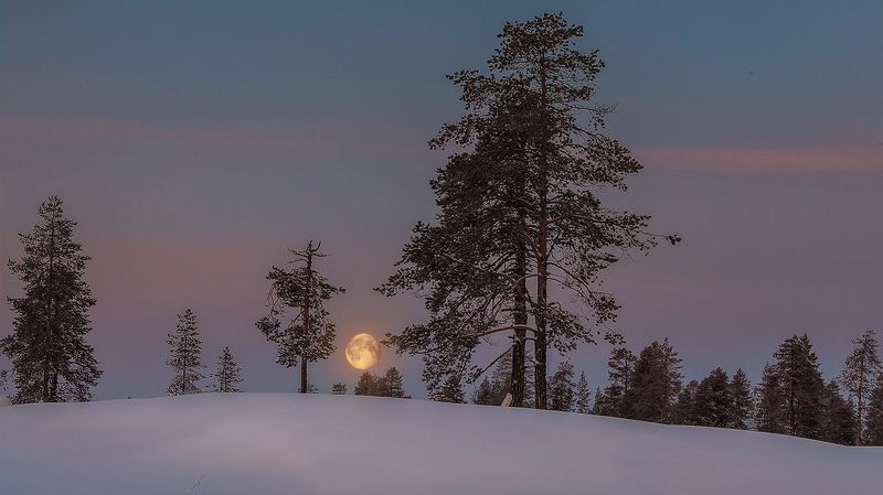север,ночь,природа,луна,зима,краски,печора,коми Предрассветная,уходящая луна фото превью
