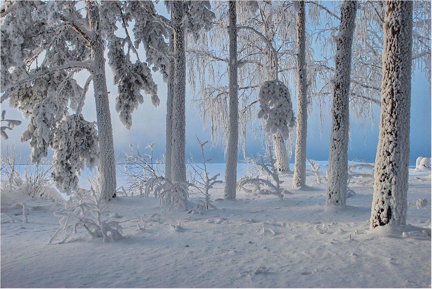 , Кондратьев Алексей