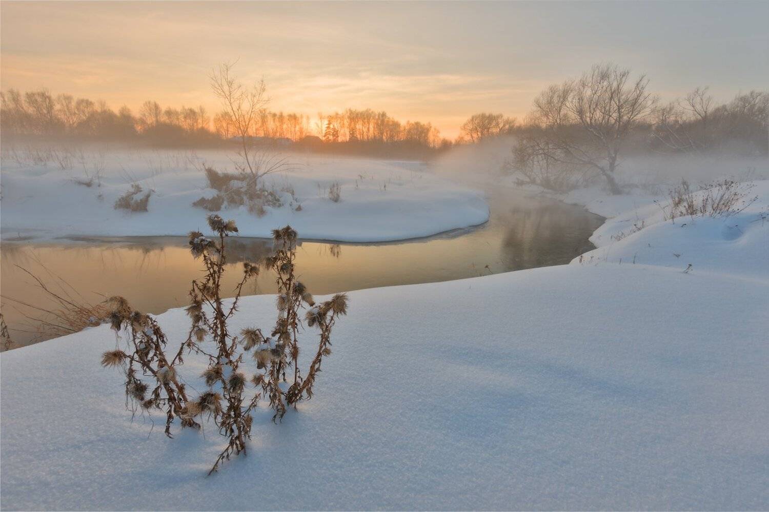 , Николай Андреев