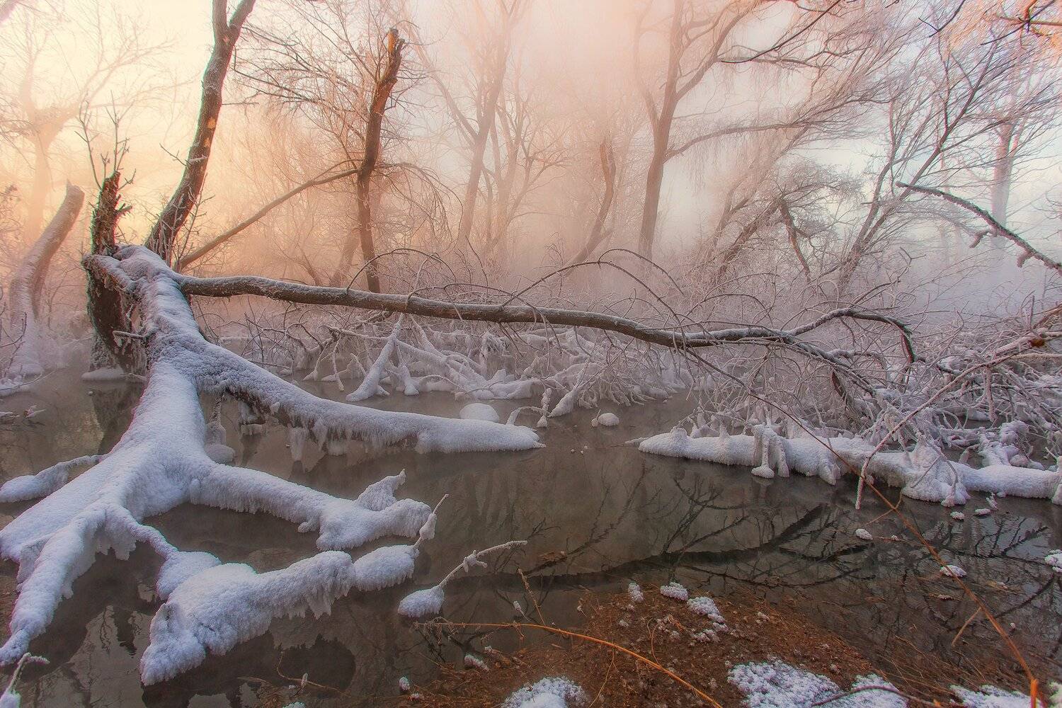 , Павел Сагайдак