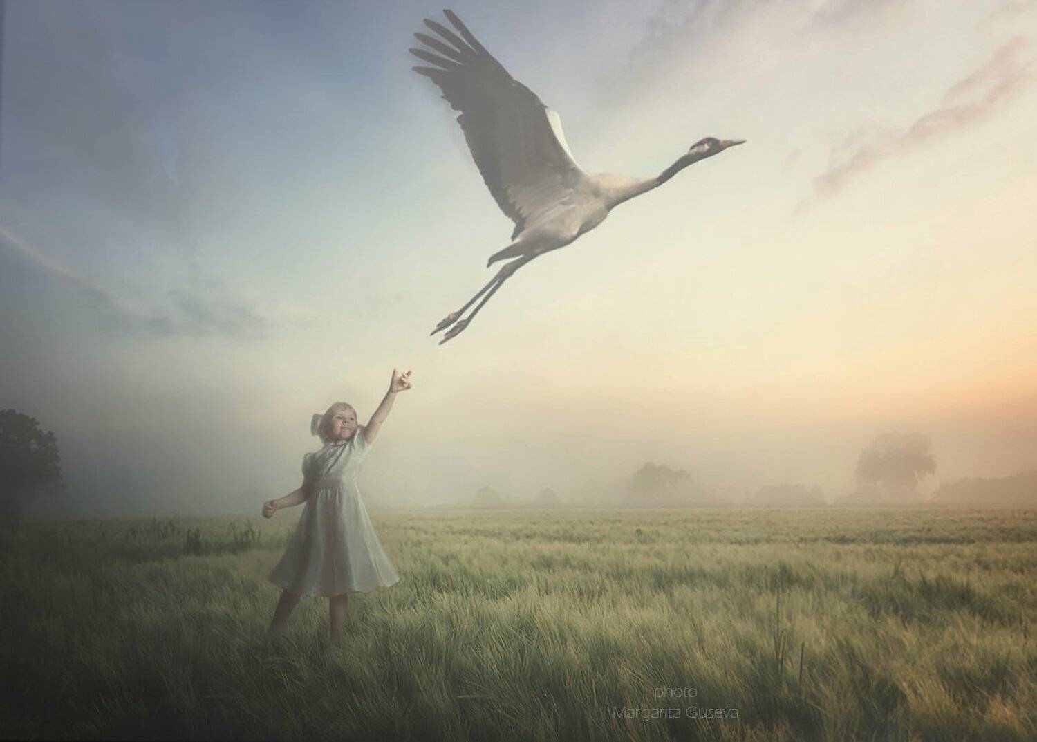 журавль, девочка, ребенок, поле, деревня, утро, рассвет, Маргарита Гусева, Margarita Guseva, лето, восход, туман, Маргарита Гусева
