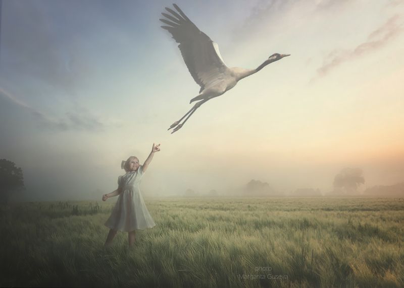 журавль, девочка, ребенок, поле, деревня, утро, рассвет, Маргарита Гусева, Margarita Guseva, лето, восход, туман Журавлик фото превью