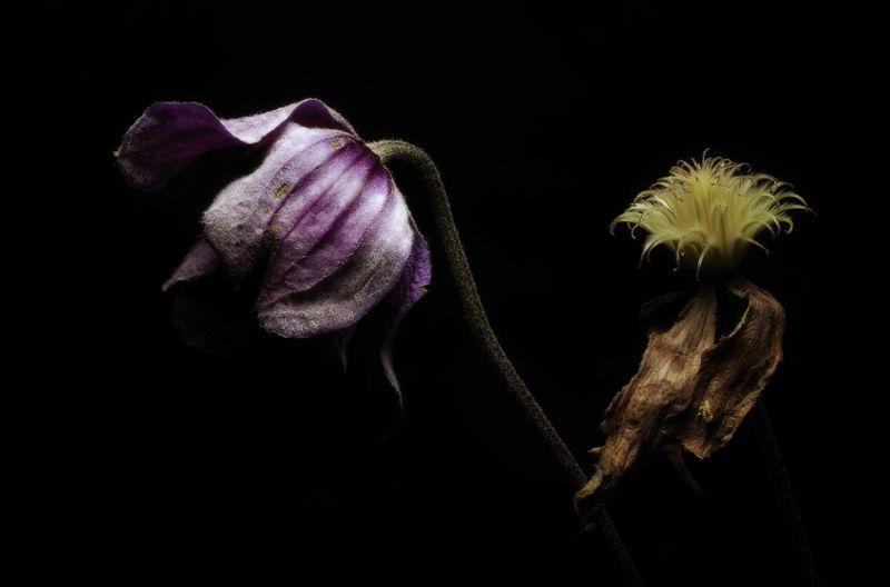 Уже не мил... фото превью