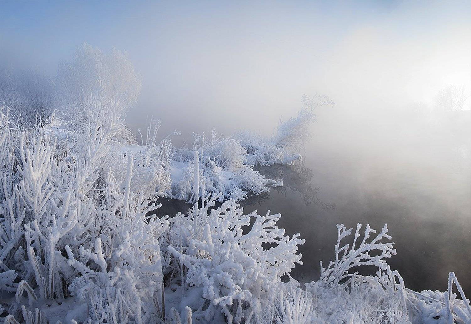 , Анатолий Зверев