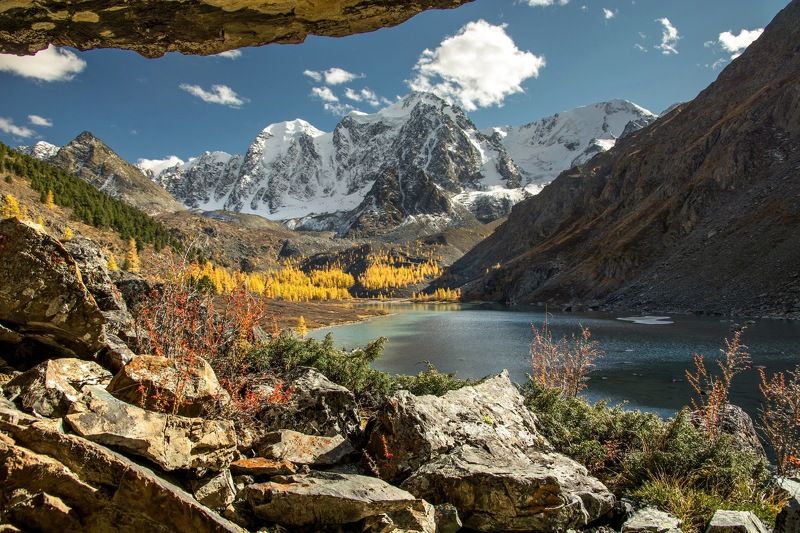 алтай,осень на Шавлинских осень золотая... фото превью