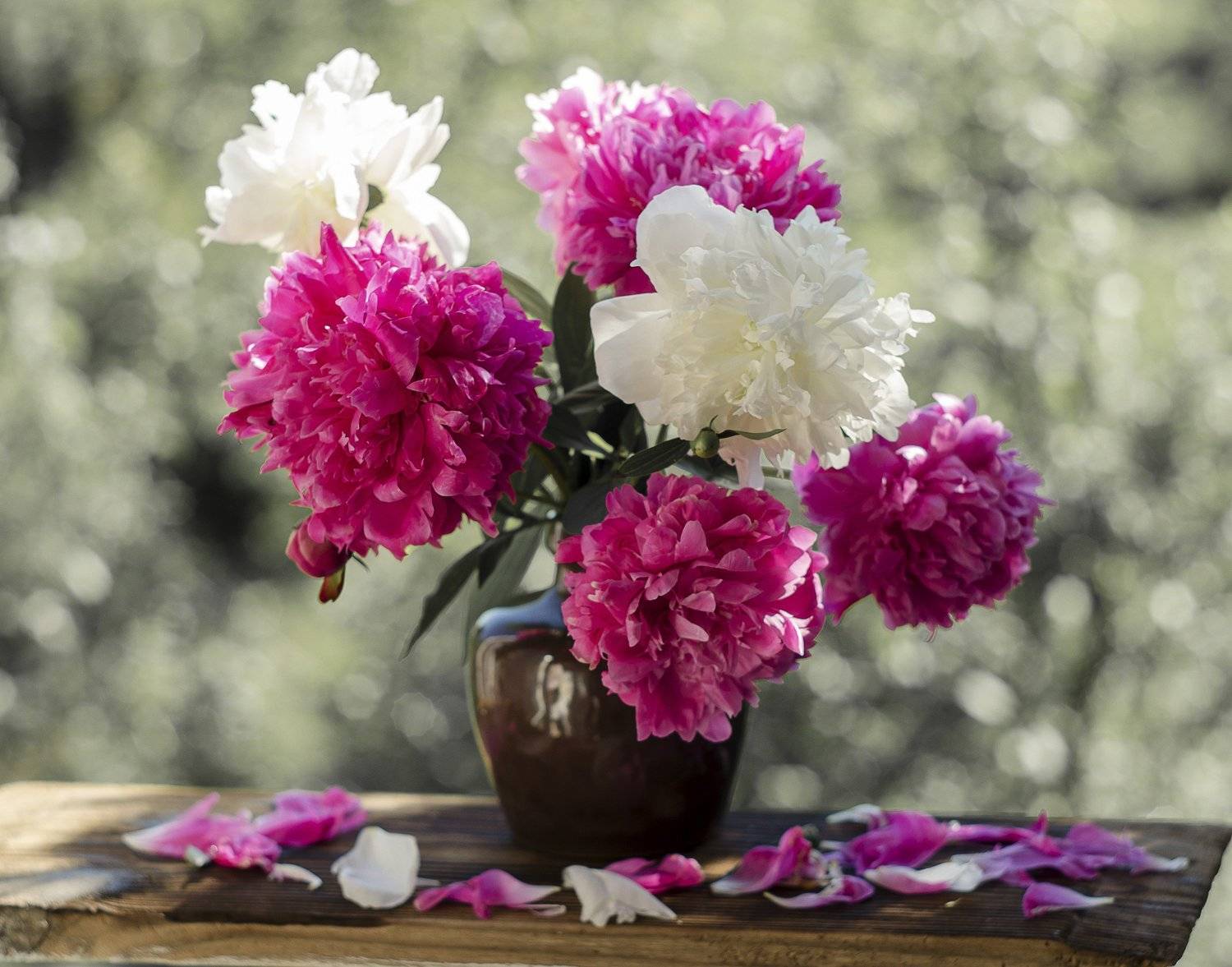 , Елена Вапняр