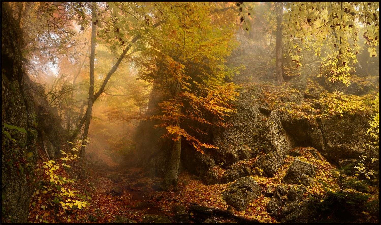 , Владимир Метцгер