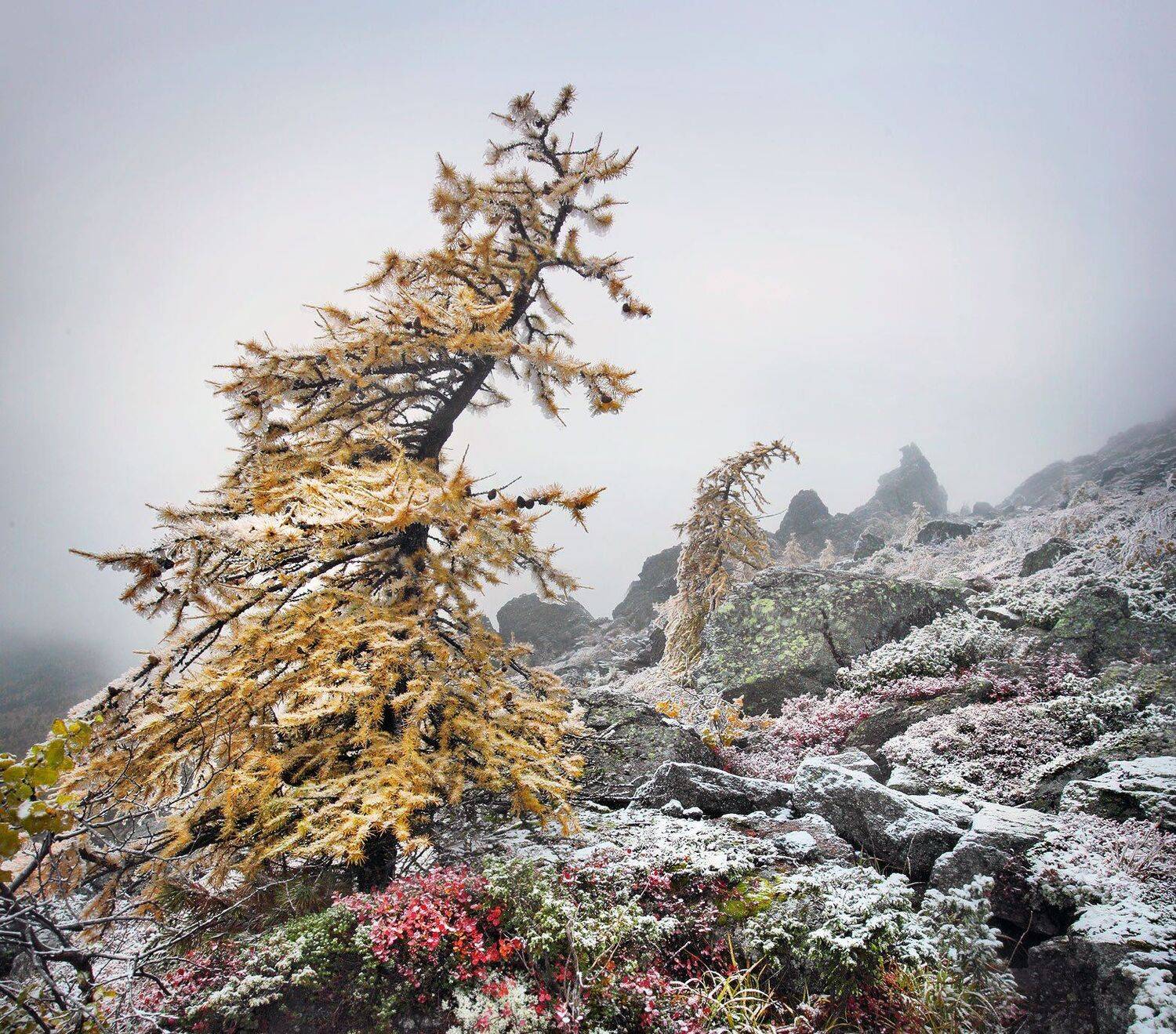 , Сергей Макурин